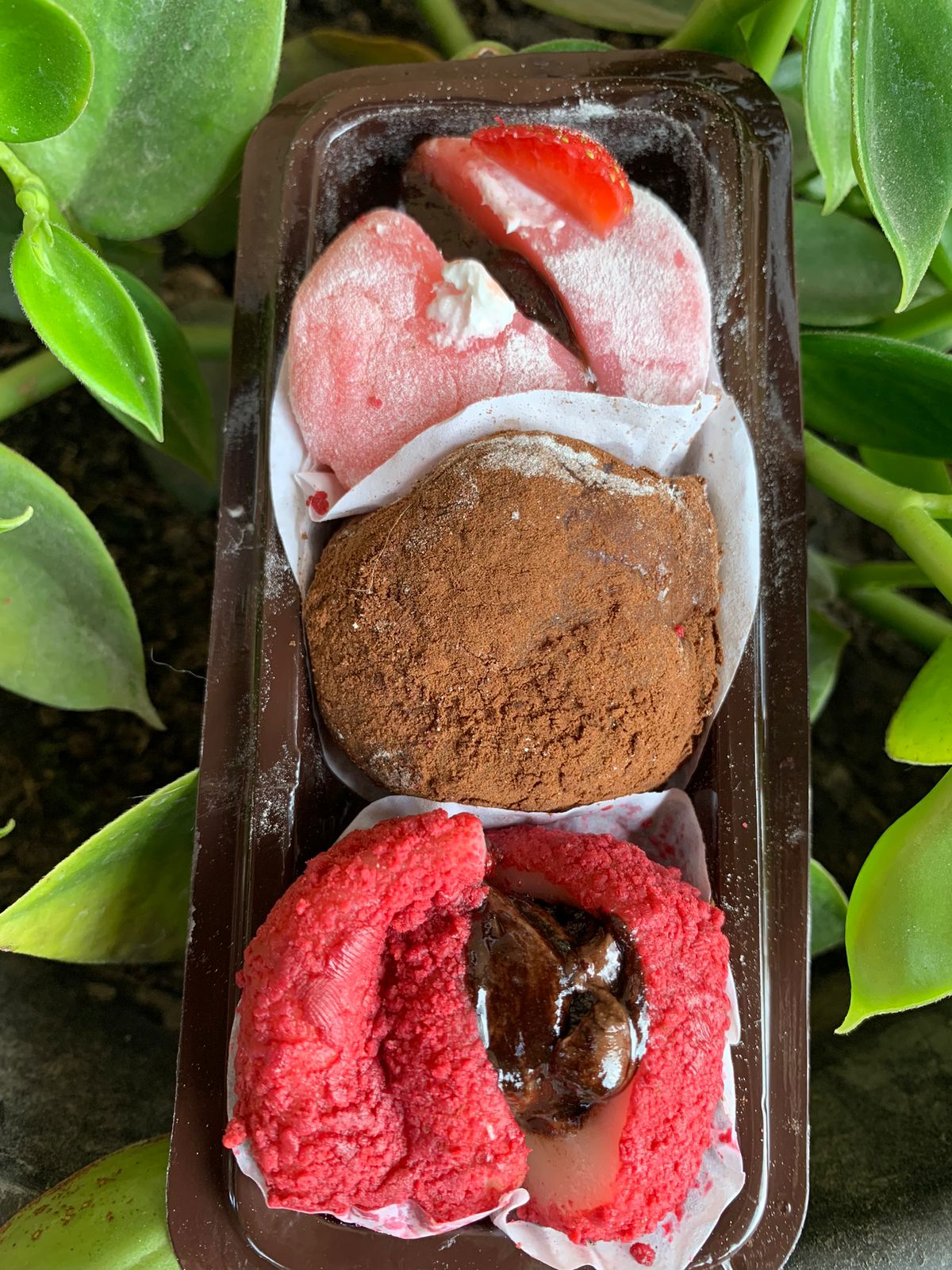 Mochi